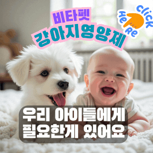 비타펫-강아지영양제-강아지유산균