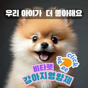 비타펫-강아지영양제-강아지유산균
