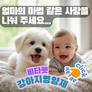 비타펫-강아지영양제-강아지유산균